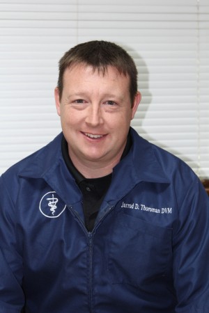 Veterinary Doctor Veterinary Doctor